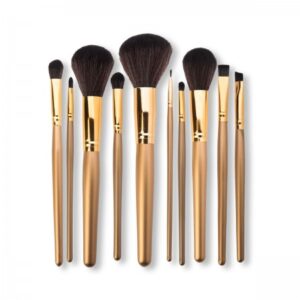 10 delige Kwasten set Goud